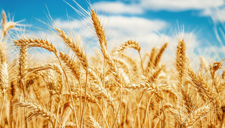 Един земеделски стопанин ще може да получи подпомагане в размер