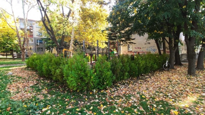 Програмата за озеленяване включва кварталите Чародейка, Дружба и ЗдравецБлизо 300