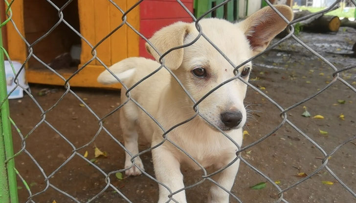 Срокът за подаване на оферти за участие е до 23:59