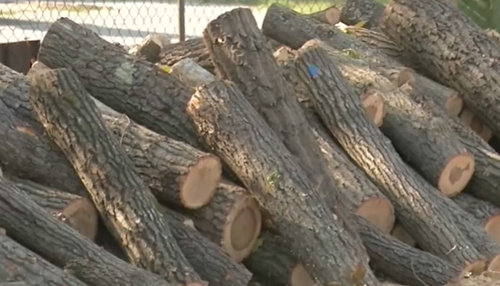 Колко притеснителна е ситуацията?Много училища и детски градини са заплашени