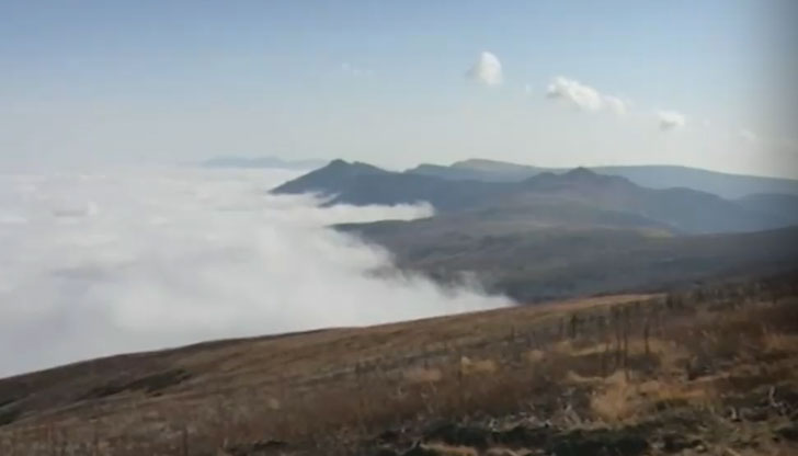 Четвърто денонощие няма следа от мъж, отишъл да бере боровинки