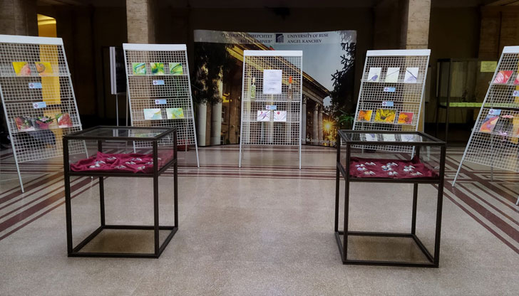 Експозицията, дело на две приятелки – Диана Георгиева и Юлияна