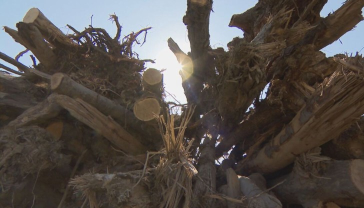 Жители на селото казват, че нямат пари за дърва​ За да