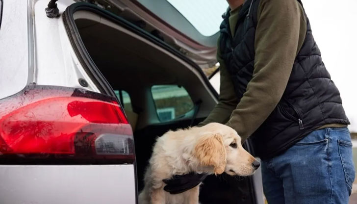 От фондация Четири лапи алармират, че  в интернет се продават