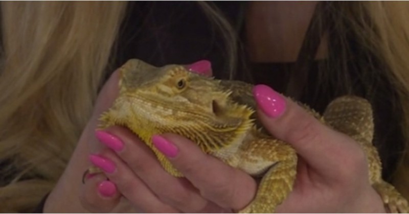 До момента тя е безпогрешна в прогнозите си кой ще