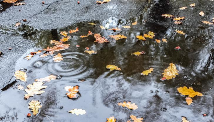 Минималните температури ще са 7°-12°През следващото денонощие облачността ще е