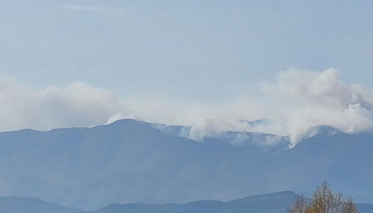 Комисар Сергей Заимов: Който има възможност е добре дошъл да