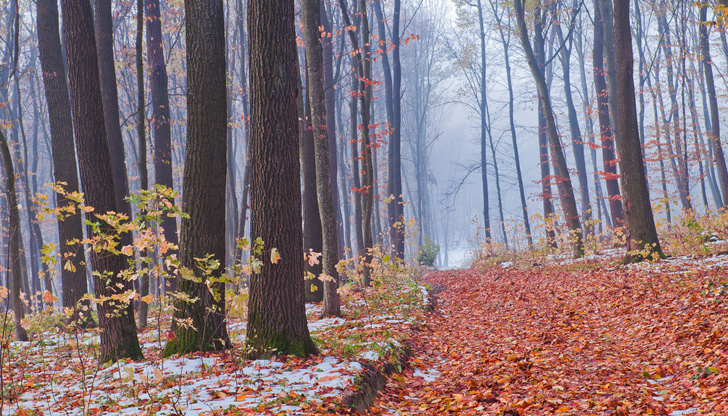 В нощта срещу понеделник може да паднат първите снежинки в