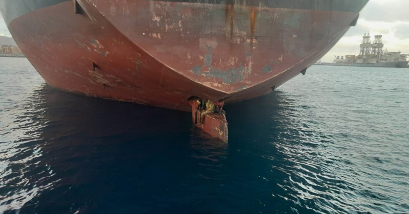 Те били заведени незабавно в болница заради признаци на дехидратация