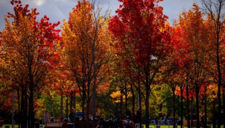 Максималните градуси в Русе ще достигнат 24Днес ще е предимно