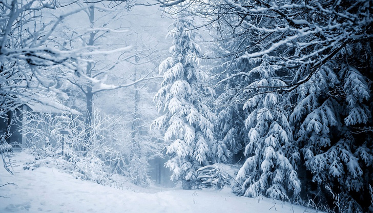 Сняг ще вали по високите планиниВ първия уикенд на ноември