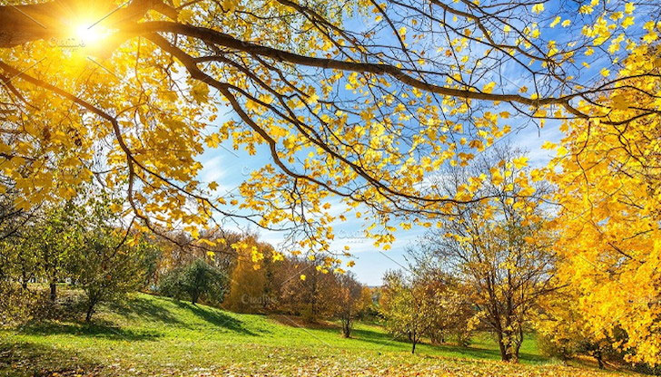 Максималните температури ще бъдат между 23° и 29°Днес ще бъде слънчево и