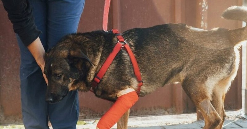 Престъплението предвижда до три години затвор и глоба до 5