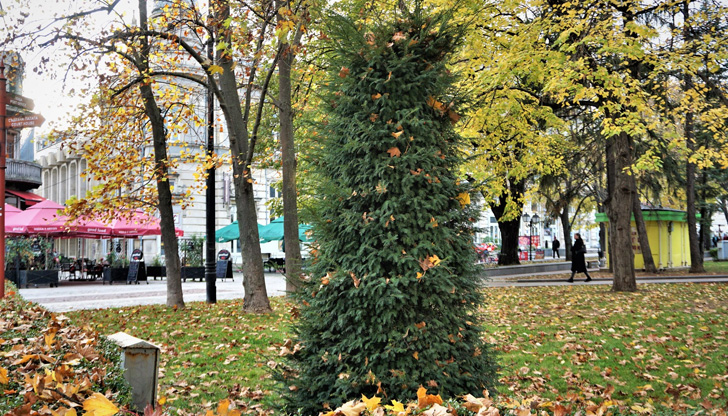 Починал е един пациент с потвърдена коронавирусна инфекция в странатаЧетири