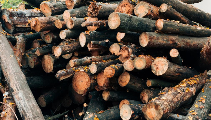 Близо 20 кубика дървесина са открити на три адреса в