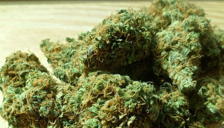 Полицаите са открили 5 грама канабис в двете лицаНа 09.11.2022