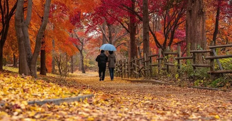 Максималните температури ще са между 12° и 17°През нощта ще