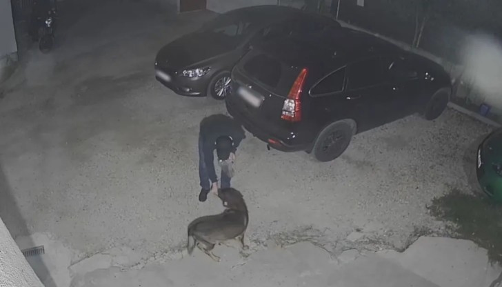 Мъжът ще остане в ареста за 24 часаИма вече задържан