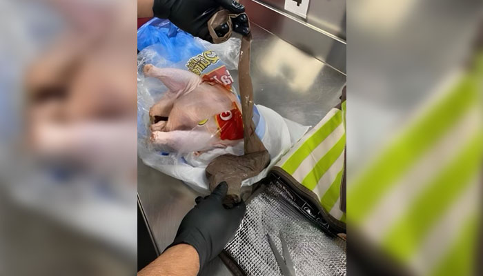 Летищните власти във Флорида се пошегуваха в Instagram, че схемата