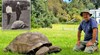 Най-старата костенурка в света празнува 190-ия си рожден ден