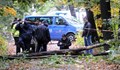 Осъдиха Столична община да плати 100 000 лева за убит от дърво мъж