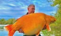 Британски рибар улови най-голямата златна рибка