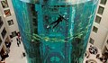 Ниски температури са пръснали най-големия цилиндричен аквариум в света