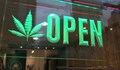 Отвориха първия пункт за продажба на канабис в Ню Йорк