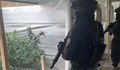 Най-малко 56 ареста при спецоперация „Бяло“