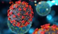 204 са новозаразените с коронавирус за денонощие