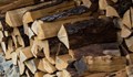 Открита е незаконна дървесина в село Баниска