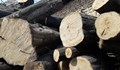 Откриха 10 кубика незаконна дървесина в село Щръклево