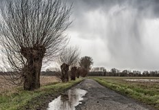 През деня ще е почти без валежиДнес времето ще се