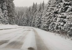 Така как изглежда пътят Батак ДоспатНа територията на цялата