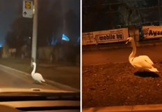 На Коледа стават чудеса Така е озаглавил поста си в социалните