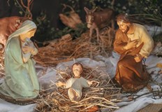 Коледа е По повод Рождество Христово екипът на Dunavmost ви желае