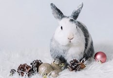 При посрещането на новата 2023 година е по добре да се