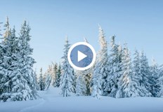 Мъжете от отряда прекараха 4 дни в планинатаАкцията по издирването