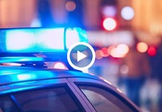 Иззето е и рекордно количество марихуанаМащабна акция на полицията се