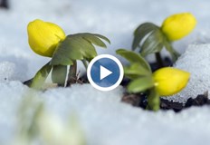 Целият месец януари ще бъде топъл за Европа Декември си отива