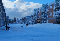 Загиналите са станали жертва най вече на катастрофи и други инциденти