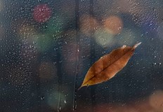 Сняг в началото на следващата седмицаВ следващите дни се очаква