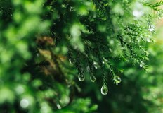 В неделя облачността ще се разкъса и ще намалееДнес в