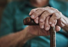 До края на годината се очаква да бъде представена официално