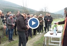 Държим да има много тежки наказания за пияните и дрогирани