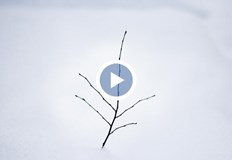 Смъртните случаи в страната са най малко 19Милиони американци и канадци