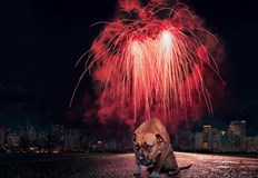 Всички помним началото на най популярната коледна песен Тиха нощ Скъпи съграждани