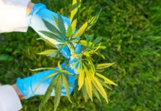 ПП ГЕРБ и ДБ са внесли два законопроекта които ще