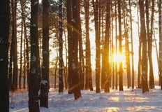 По обилни снеговалежи са възможни след 7 8 януари 2023