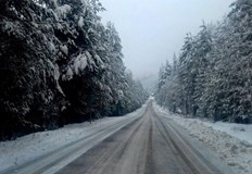 Има сигнали за закъсали товарни моторни средства в отсечката Проглед